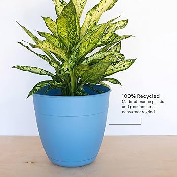 Amazon.com : Bloem Dayton Planter with Saucer: 20
